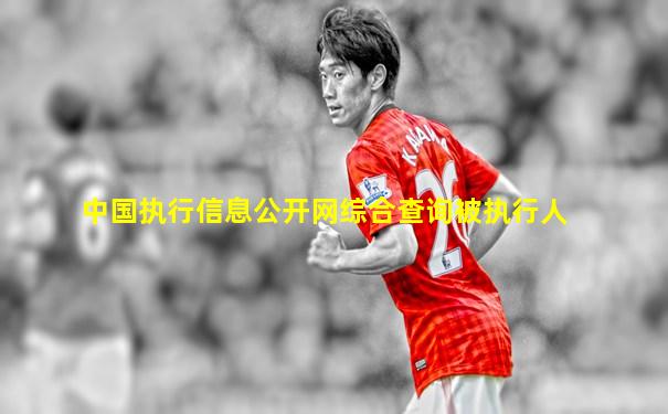 中国执行信息公开网综合查询被执行人