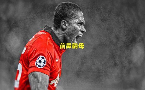 前鼻韵母