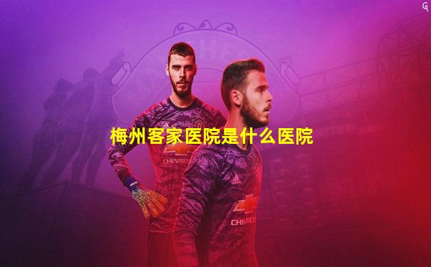 梅州客家医院是什么医院